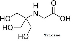 三(羟甲基)甲基甘氨酸