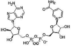 β-氧化型烟酰胺腺嘌呤二核苷酸 NAD+