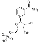 β-煙酰胺單核苷酸 NMN