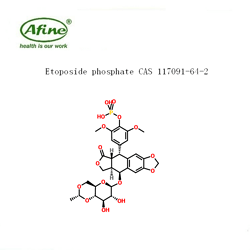 Etoposide Phosphate依托泊苷磷酸酯