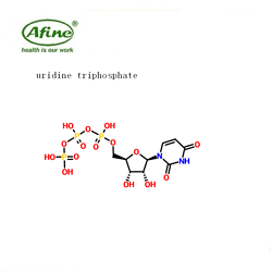 uridine triphosphate三磷酸尿苷;三磷酸尿苷三钠