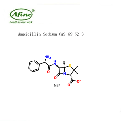 Ampicillin sodium氨苄西林钠