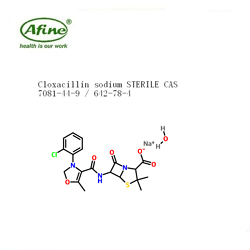 CLOXACILLIN  SODIUM氯唑西林钠