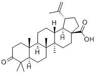 白桦脂酮酸/路路通酸