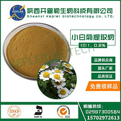 小白菊提取物