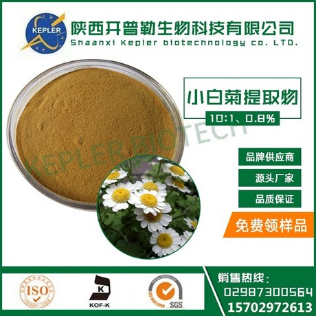 小白菊提取物