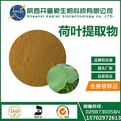 荷叶提取物
