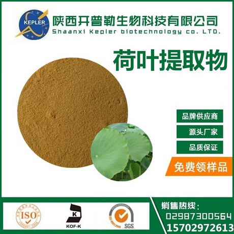 荷叶提取物