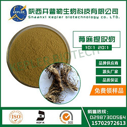 荨麻提取物