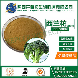 食品級 西蘭花提取物 椰菜提取物胡蘿卜素 維生素C現(xiàn)貨供應(yīng) 包郵