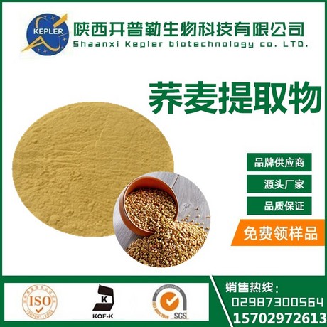 食品级 荞麦提取物  10:1 20:1 蛋白质 B族维生素工厂现货供应 1公斤起包邮