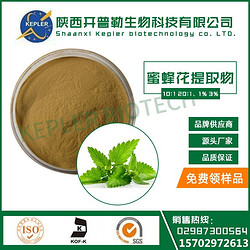 食品級(jí)蜜蜂花提取物  黃酮，迷迭香酸  廠家現(xiàn)貨供應(yīng) 1公斤起包郵