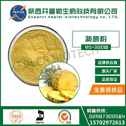 天然菠萝粉 饮料  食品添加剂 现货供应1公斤起包邮