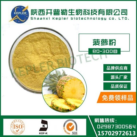 天然菠萝粉 饮料  食品添加剂 现货供应1公斤起包邮