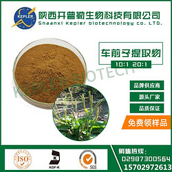 車(chē)前子草提取物 車(chē)前甙、桃葉珊瑚甙；烏蘇酸 工廠現(xiàn)貨 1公斤包郵