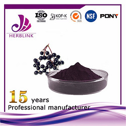 Elderberry extract