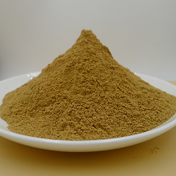 生姜提取物Ginger Root Extract Powder