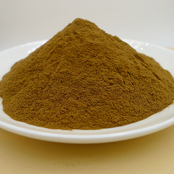 杏仁提取物Prunus Armeniaca Seed Extract Powder