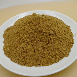 香附子提取物Cyperus Rotundus Extract Powder
