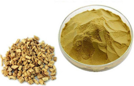 党参提取物Codonopsis Extract Powder