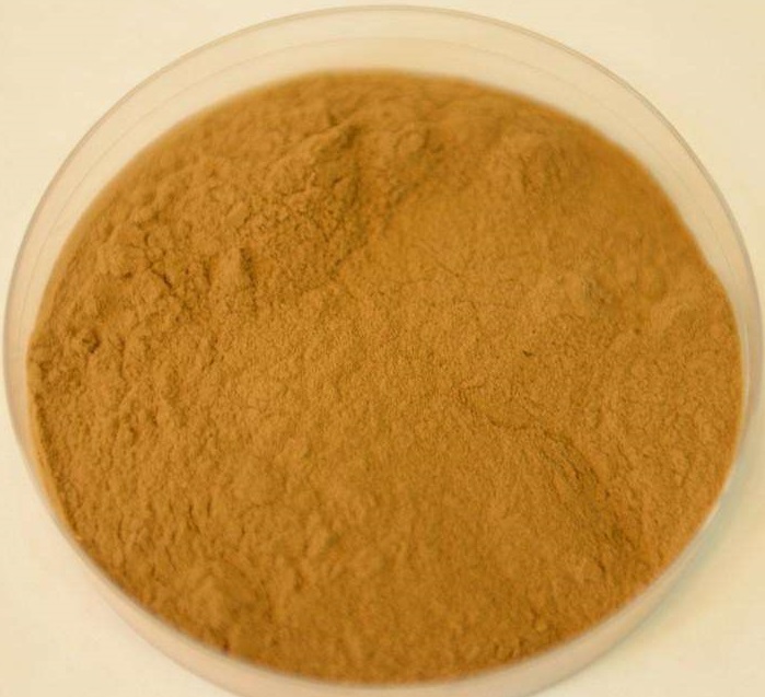 红花提取物Carthamus Tinctorius Extract Powder