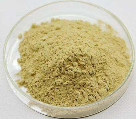 西洋參提取物Panax Quinquefolius Extract Powder