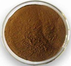 葛根提取物10:1Rhus Tox Leaves Extract Powder