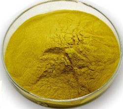 北美黄连提取物Hydrastis Canadensis Extract Powder