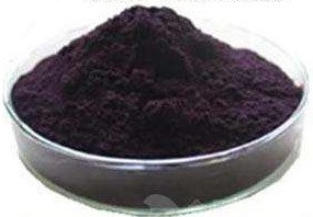 黑加仑Black Currant Fruit Powder
