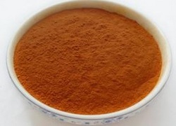 辣椒提取物Capsicum Extract Powder