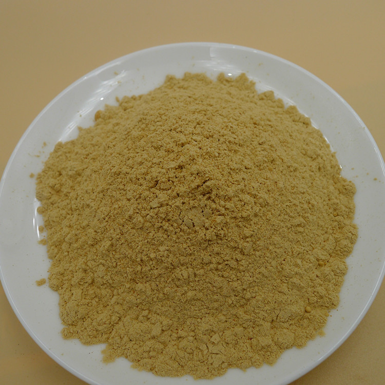 黃芩提取物Scutellaria Baicalensi Extract Powder