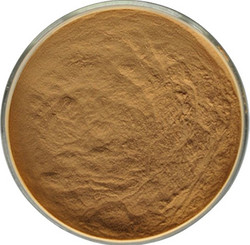 仙人掌提取物10:1 Nopal Cactus Extract Powder