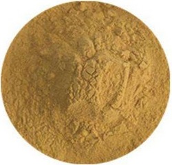 淡豆豉提取物Semen Sojae Praeparatum Extract Powder