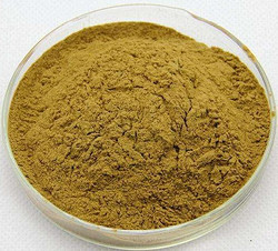木犀草提取物Luteolin Extract Powder