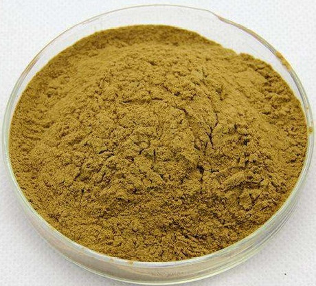 木犀草提取物Luteolin Extract Powder