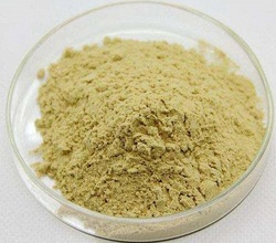 高丽参提取物80%Korean Ginseng Extract Powder