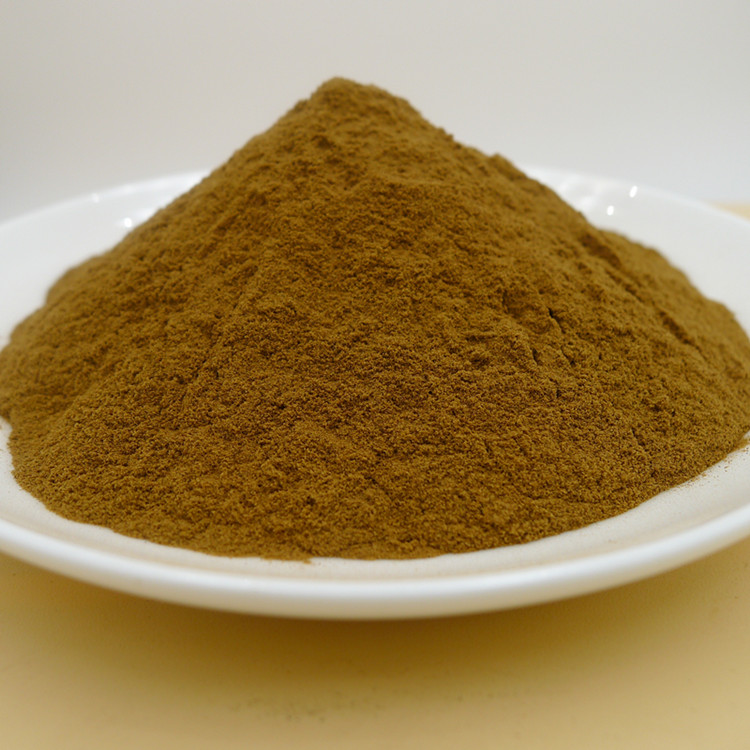 当归提取物1% Dong Quai Extract Powder