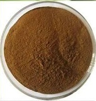 蜂斗菜提取物15%HPLC  Butterbur Extract Powder
