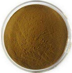 橄榄叶提取物6%HPLC Olea Europaea Extract Powder