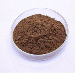 黑木耳提取物20% Black Mushroom Extract Powder