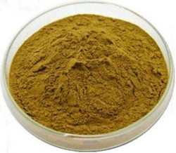 黑升麻提取物hplc Black Cohosh Extract Powder