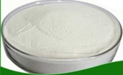 锯叶棕提取物45% Saw Palmetto Extract Powder