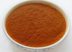 辣椒提取物2% Cayenne Pepper Extract Powder
