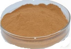 山楂提取物5% Crataegus Oxyacantha Extract Powder