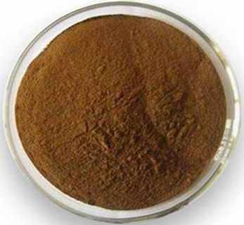 蛇床子提取物 30% Cnidium Monnieri Extract Powder