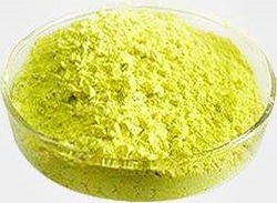 西兰花提取物1% Broccoli Extract Powder
