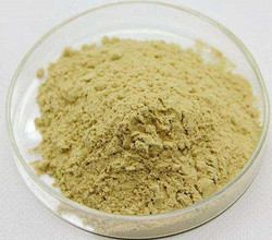 西洋参5% America Ginseng Extract Powder