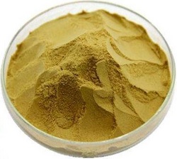 银杏24%6%Ginkgo Biloba Extract Powder