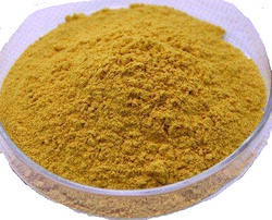 银杏 6% Ginkgo Biloba Extract Powder