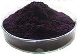 黑加仑提取物 25% Black Currant Extract Powder